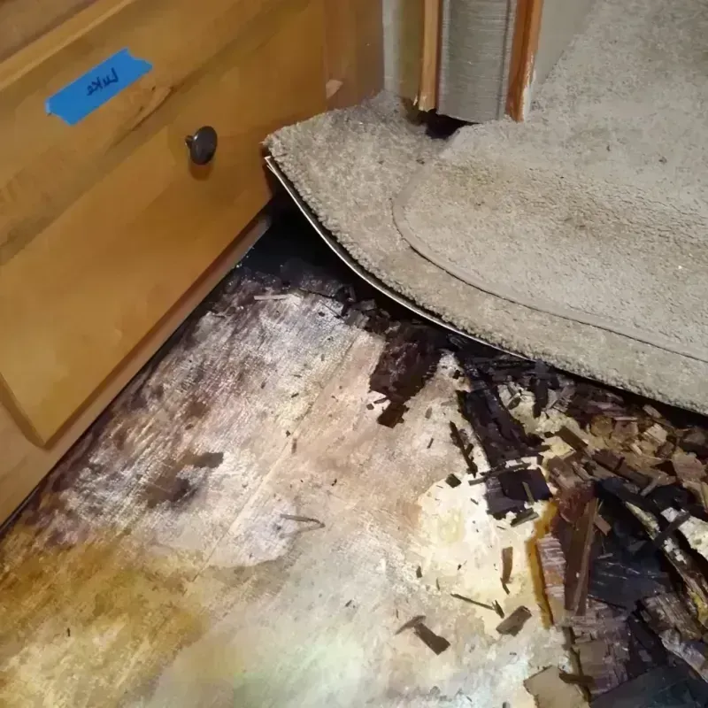 Wood Floor Water Damage in Saginaw County, MI